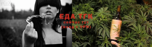 шишки Сосновый Бор