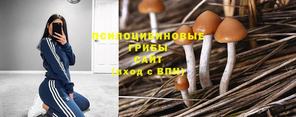 марки nbome Богданович